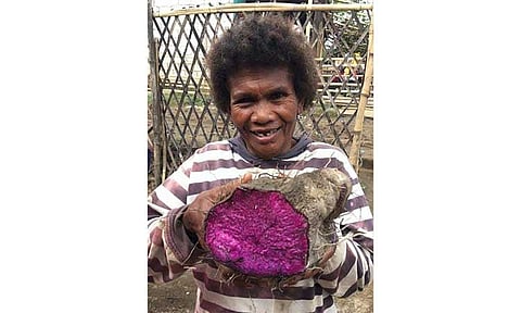Photo from Cabalen Aeta Farmers & Partners Official shows an Aeta farmer with her ube produce. The organization helps farmers in Pampanga upland villages with markets to sell their crops, including ube.