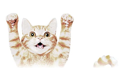 It's Always an Orange Cat', 5 feline icons for Ginger Cat Appreciation Day