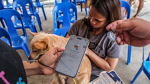 Why Cebu City’s 2023 ordinance
for animal welfare face opposition