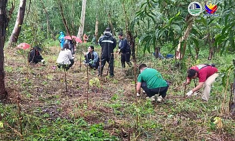 BATAAN GREENING. The Department of Environment and Natural Resources, together with the Office of the Vice President, Peninsula Electric Cooperative Incorporated, Philippine National Police, Bureau of Fire Protection, and National Electrification Administration, led the planting of 4,500 seedlings in Limay and Pilar towns in Bataan. (Photo courtesy of DENR)