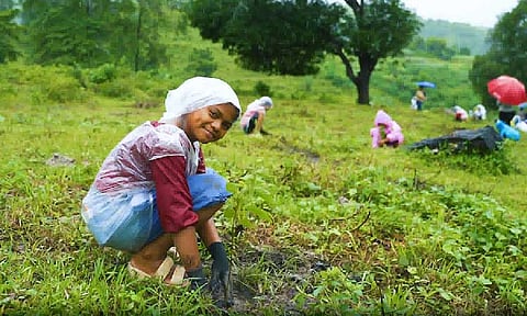 Prime Infra launches tree-planting program