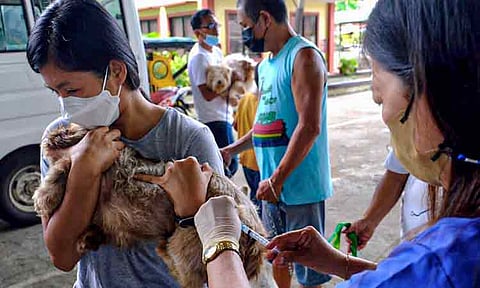 Dabawenyos are reminded anew to be responsible pet owners and have their cats and dogs vaccinated with the anti-rabies vaccine to help prevent the spread of rabies in the community. This is in line with Davao City’s observance of World Rabies Day on September 28. The celebration is anchored to the theme “Act Now: You, Me, and Community.”