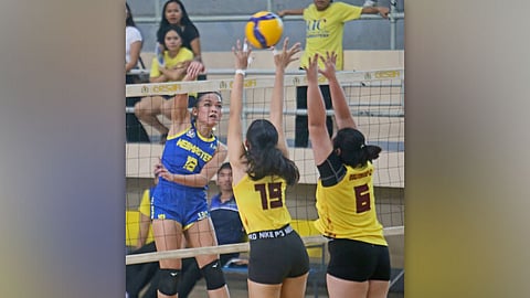 Netters take spotlight as Cesafi v’ball tourney fires off