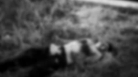 (Hulagway iya sa Raja Buayan MPS)