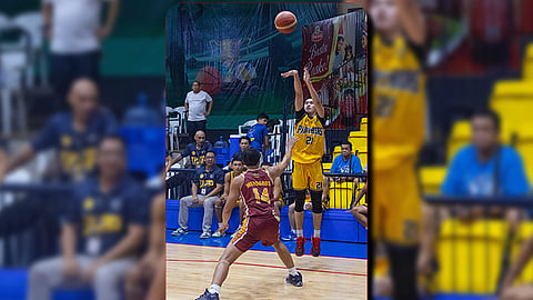 Cheetahs strike Panthers