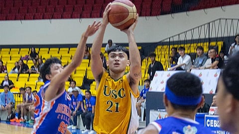 Warriors slay cheetahs