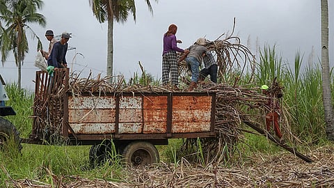 Importasyon sa asukar gipahunong
