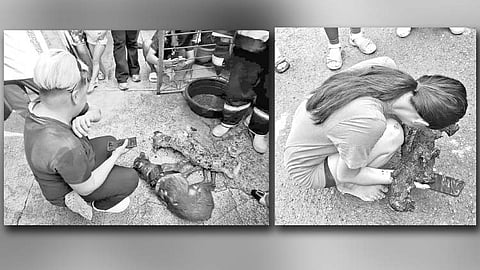 3 ka mga binuhi’ng iro, patay sa sunog