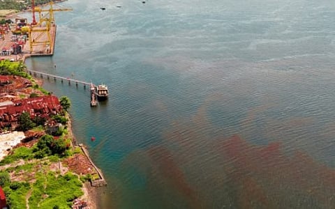 Misamis Oriental confirms algal bloom in coastal villages