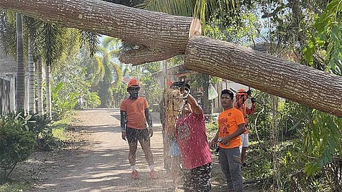 Zero fatalities in Borbon after Tino