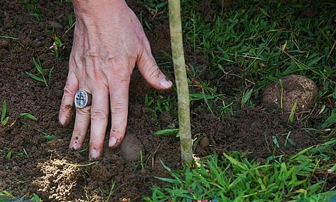 Tell it to SunStar: When we plant trees, we plant hope