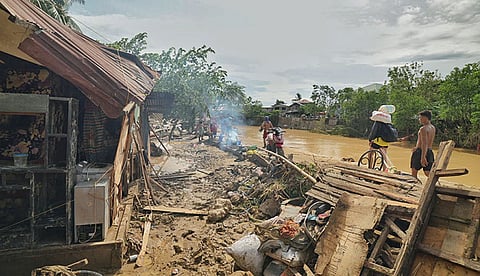 'Tino' destroys nearly P47M in crops, livestock in Cebu City