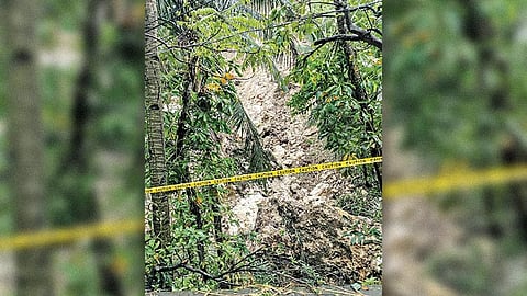 Yuta sa Canduang, Sogod midahili