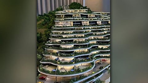 Monterrazas denies Cebu tree cut raps