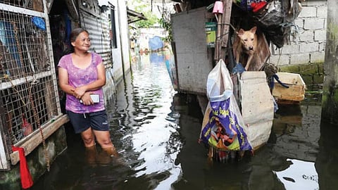 Documentary on flood control
anomalies out