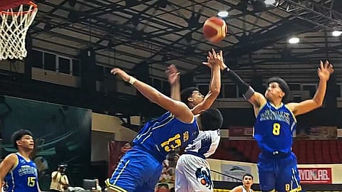 Baby Webmasters halt Dragons' winning streak
