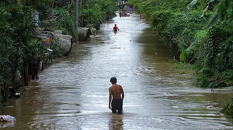 Kaso sa leptospirosis sa Mandaue , usa ra