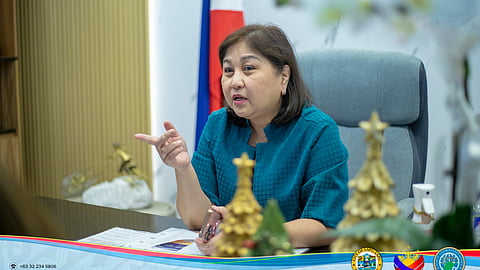 Mayor Chan mibahad niadtong mopabuto og armas sa New Yr.