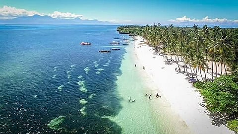 Vivant energy wins Siquijor power contract