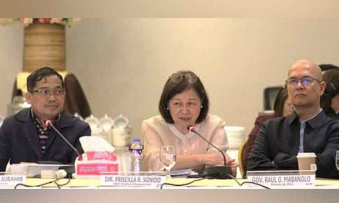 RDC-Davao ok’s regional dev’t plan midterm update