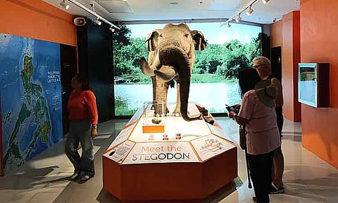 Visitors view the displayed Stegodon at the Natural History exhibit of the National Museum of the Philippines-Davao (NMP-Davao). People are slowly pouring in as the museum reopens its doors to the public after its three-month closure due to the effects of the doublet earthquake.