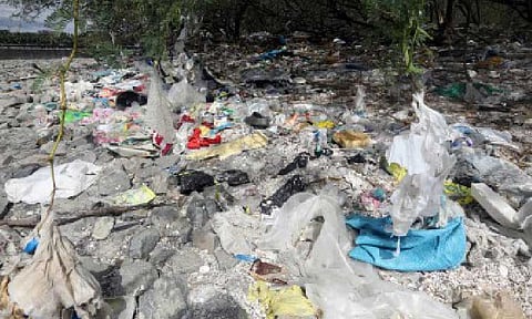 PLASTIC POLLUTION. Plastic materials litter the shoreline of Manila Bay on the portion of Las Piñas-Parañaque Wetland Park in this undated photo. Senator Loren Legarda on Monday (Jan. 12, 2026) called for a stronger national resolve to confront the country’s mounting waste crisis. (PNA file photo by Yancy Lim)