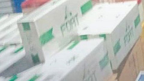 Police seize P675,000 smuggled cigarettes in Basilan, Tawi-Tawi