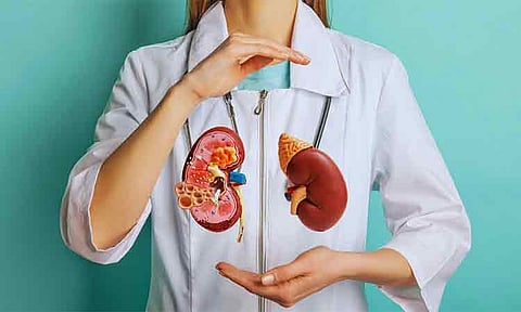 Kidney screening for children pushed