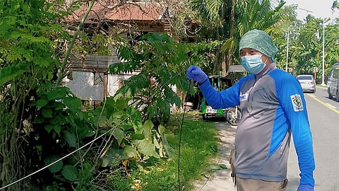 French tourist injured after motorcycle snags dangling telecom cable in Alegria