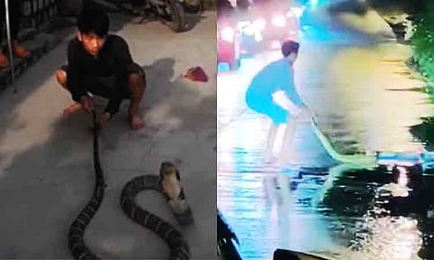 The Department of Environment and Natural Resources-Davao Region (DENR-Davao) encouraged the public to be mindful of their legal responsibilities and safety precautions when encountering snakes or other wildlife following two separate snake-related incidents in the region.