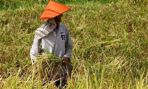 (PNA file photo by Joan Bondoc)