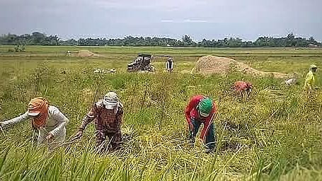 PH agri trade deficit narrows 26.9% in December