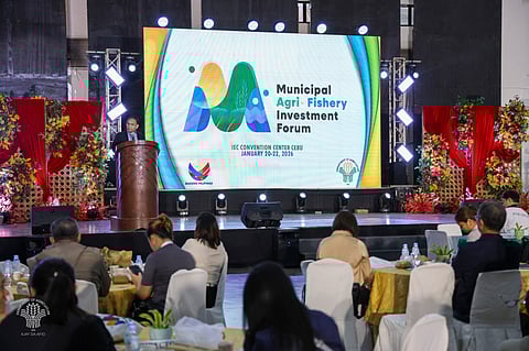 DA urges more investments in livestock and crops.