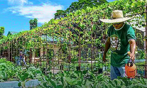 Registration, farmers’ training on herbicide use eyed