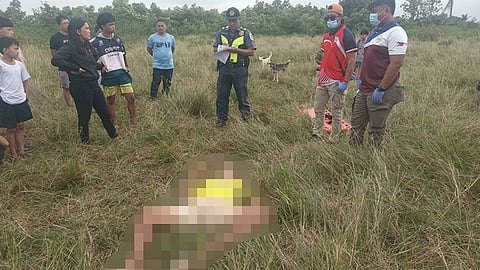 Sr. citizen gisungay sa baka, patay