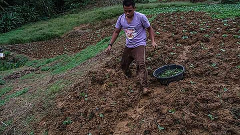 Basyang nahimo nang LPA; Cebu City nagpabiling luwas