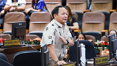 Garganera: I-rehab ang Binaliw dumpsite sa dili pa ang WTE