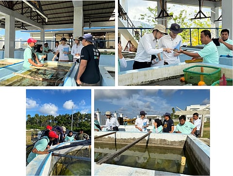 Japan boosts aquaculture, fisheries sectors in Barmm