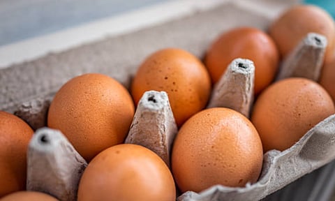 PH restaurant chains near 80% in cage-free egg shift