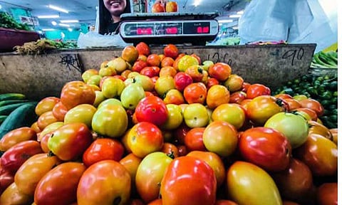 OVERSUPPLY. Tomatoes abound at Nepa Q Mart in Quezon City on Feb. 26, 2025. The Department of Agriculture said Friday (Feb. 27) it is strictly monitoring the farmgate price of tomato and implementing interventions to protect tomato farmers ahead of the peak harvest season. (PNA photo by Joan Bondoc)