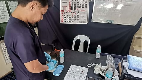 Fish kill in Olango Island shows no signs of poisoning, officials say