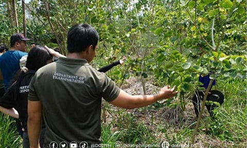 GREENING SITE. Department of Transportation (DOTr) personnel inspect a tree planting site in Pampanga on Feb. 27, 2026. The DOTr is planning to plant about 1.2 million trees in the next five years as part of the North-South Commuter Railway Greening Project. (Photo courtesy of DOTr)