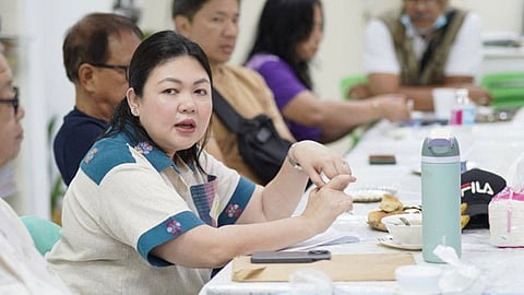 Iloilo City mayor condemns lawmaker’s remarks vs Anne Curtis