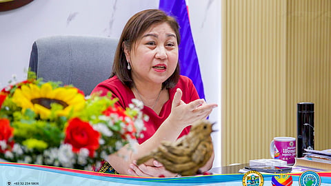 Mayor Chan: PUVs nagpaumento sa
pletehan nga way pagtugot, i-report