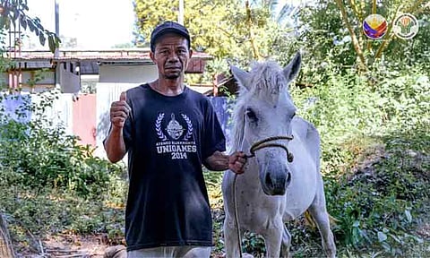 The Department of Agriculture-Davao-Livestock Program provided the Balukot Farmers Association (BFA) with four horses to help the farmers haul their corn, bananas, and root crops.