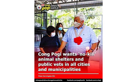 Lazatin files 'No-Kill' animal shelter bill