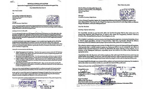 AC council urged to probe alleged lapses of SK prexy
