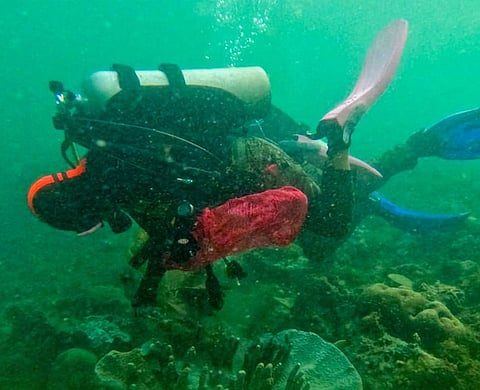 ZAMBOANGA. Troops successfully conduct on Friday, March 27, a Coastal and Underwater Clean-Up Drive in Fuego-Fuego Beach, which is part of the growing eco-tourism in Isabela City, Basilan province.