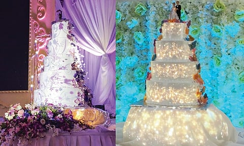 'Animated' cakes, a whole different level