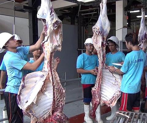 ZAMBOANGA. The Filipino-Turkish Tolerance School on Tuesday, August 21, slaughtered 87 cattle. The beef will be distributed to the less fortunate people in celebration of the Feast of Sacrifice, or Eid'l Adha. (Photo by Bong Garcia)